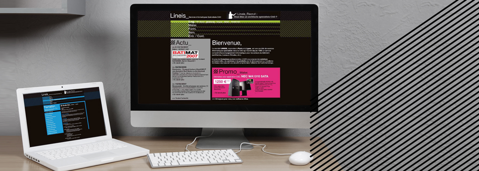 Lineis ecommerce